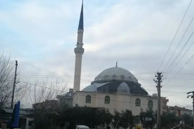 Değirmendere Yüzbaşılar Mahallesi Cami kapak fotoğrafı